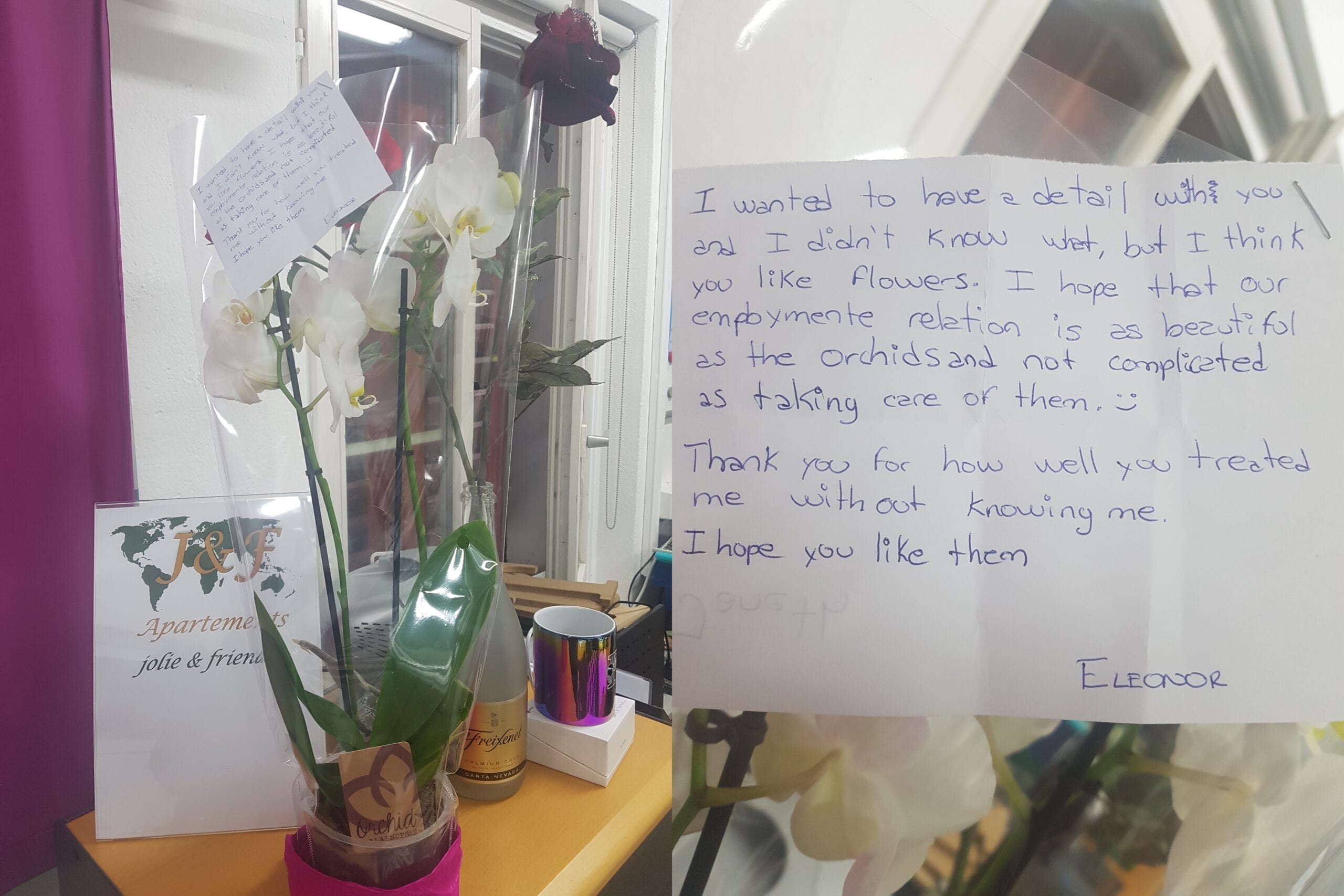 Eléonore : an angel from elsewhere…